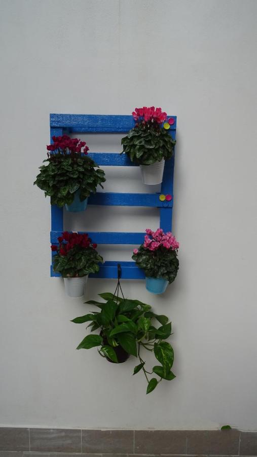 Il Giardino Segreto Apartment Palermo Bagian luar foto